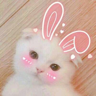 奇奇💕