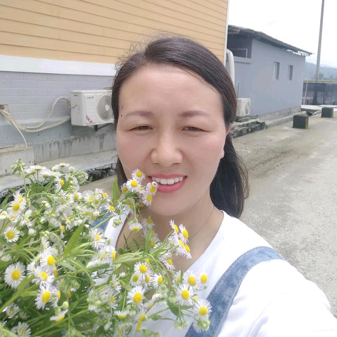 惠姐