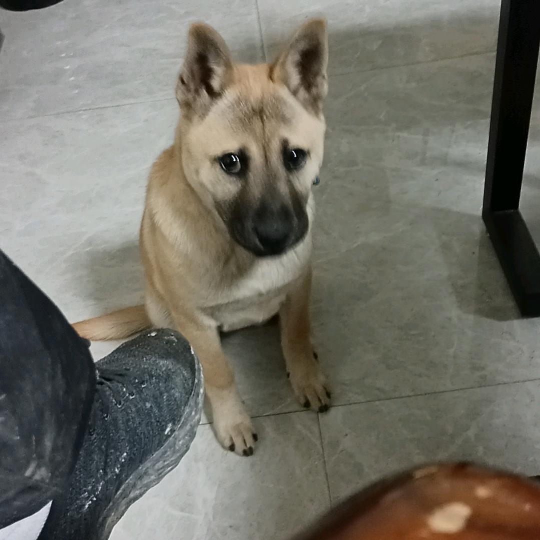 韶关全屋定制安装，凉亭安装，三区八县都去