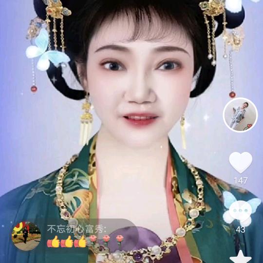 一只大凤凰