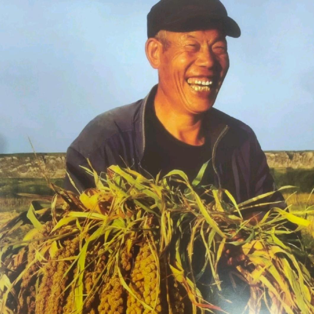 大飞讲农业
