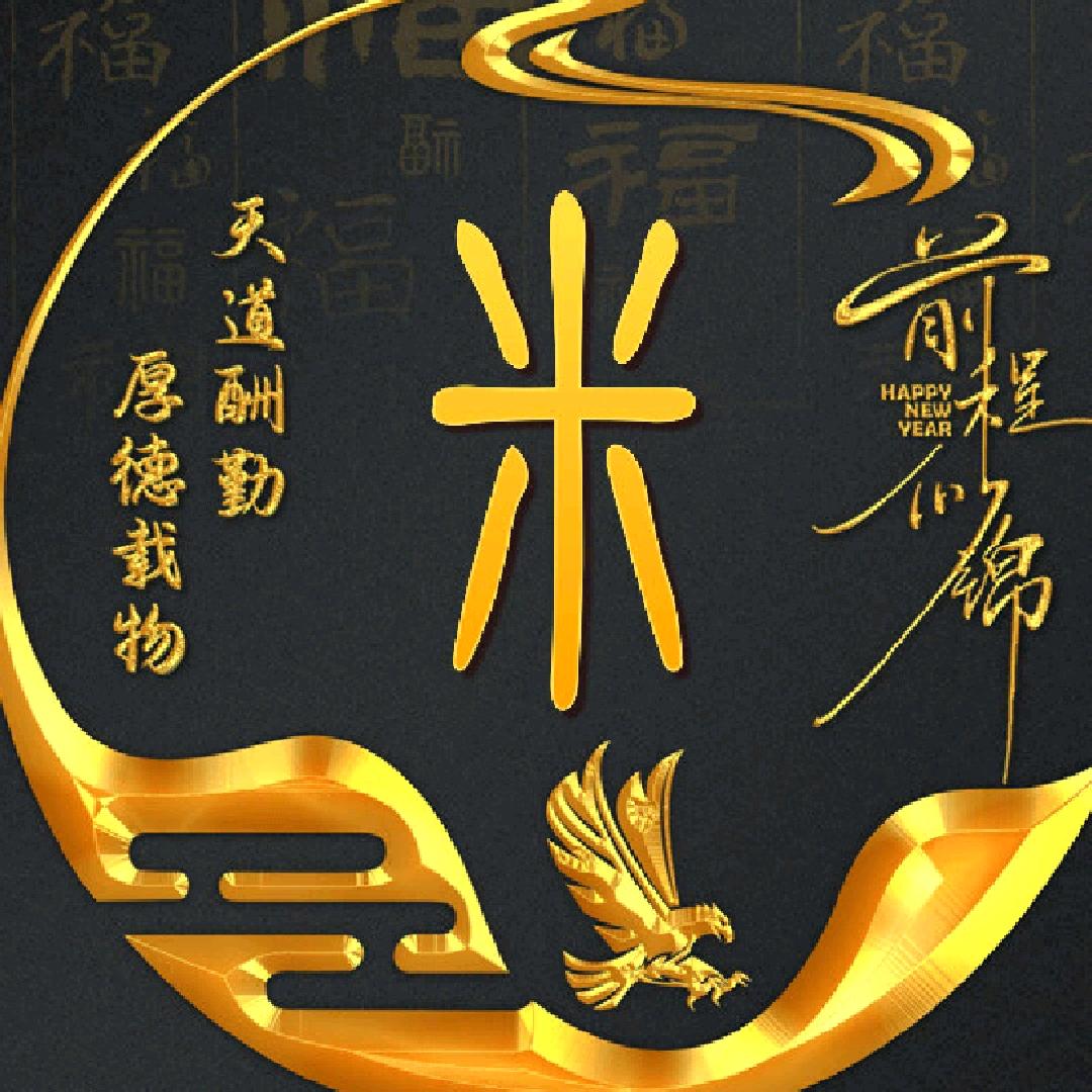 自在入风的中年