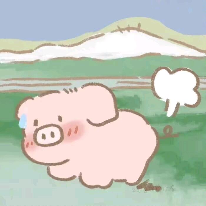 不是我放的