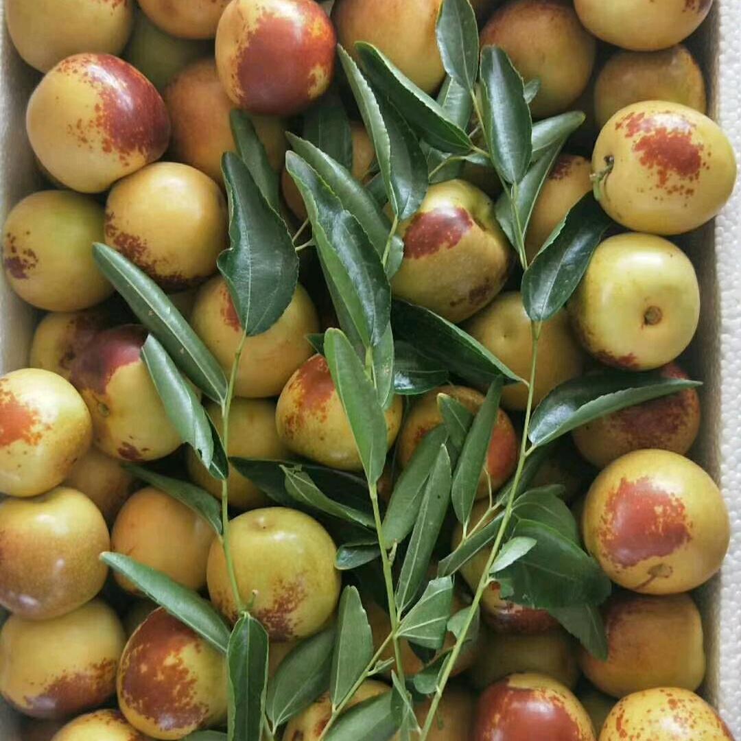 琦琦冬枣⁰³⁰⁴ོོ