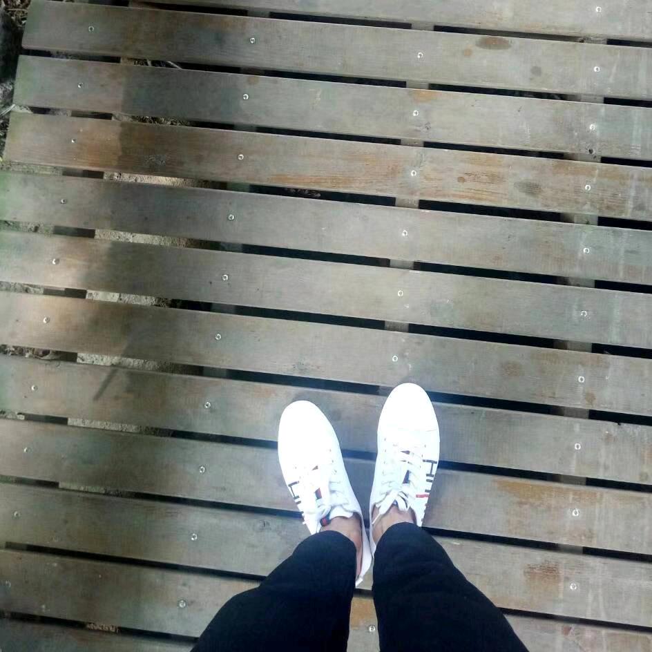 满地相思
