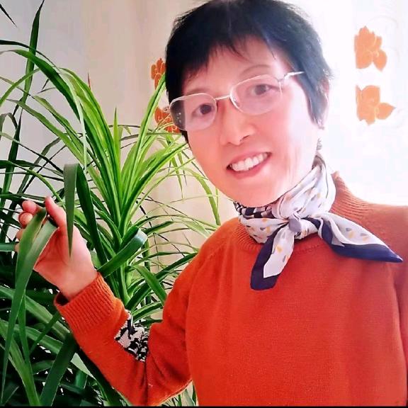 雨后彩虹
