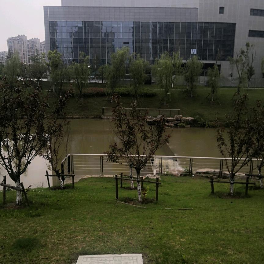 xuan