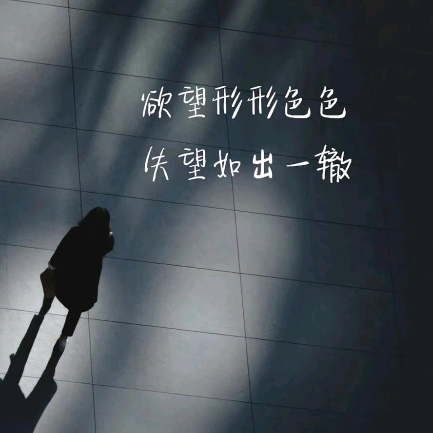 清衍