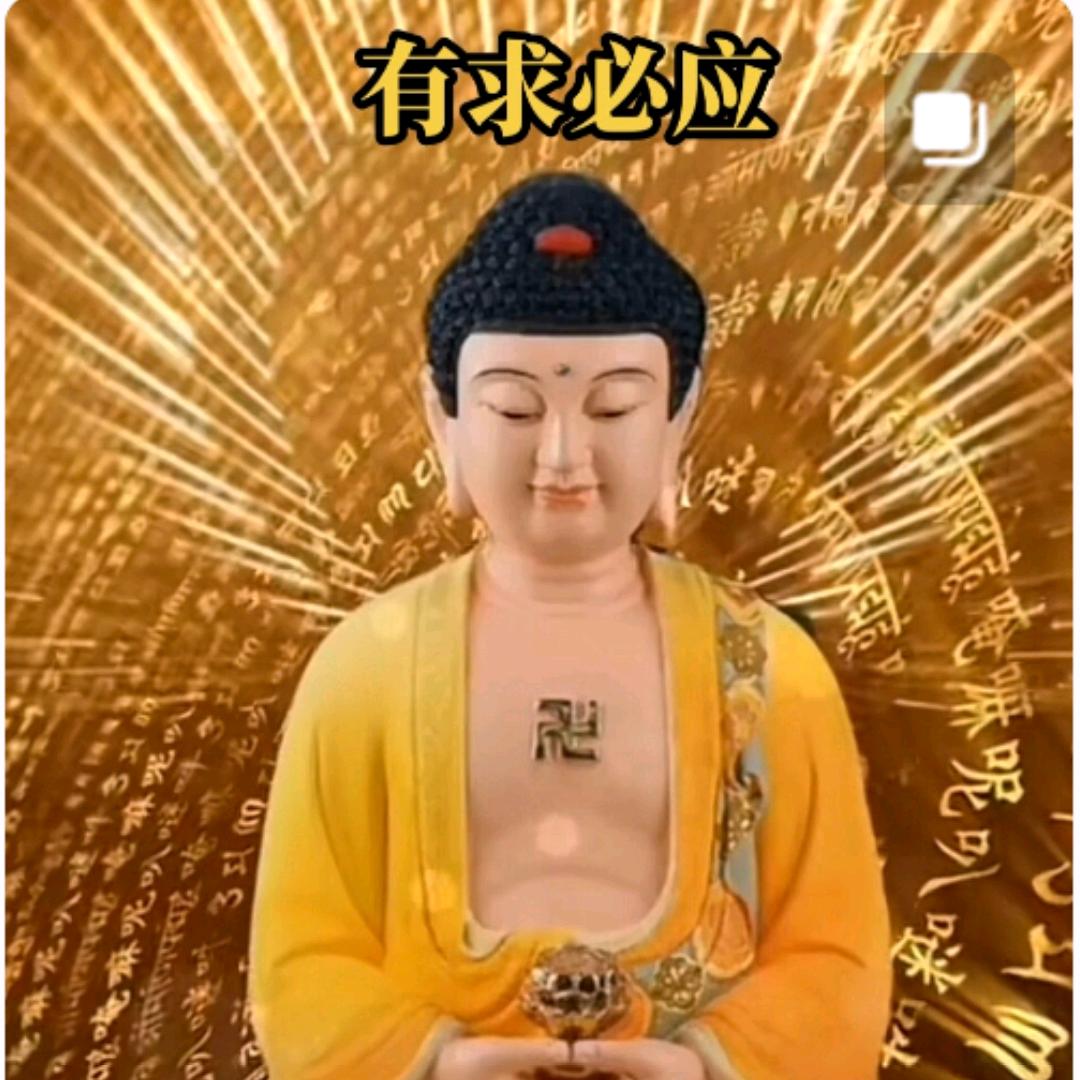明天会更好 柱哥☞☜