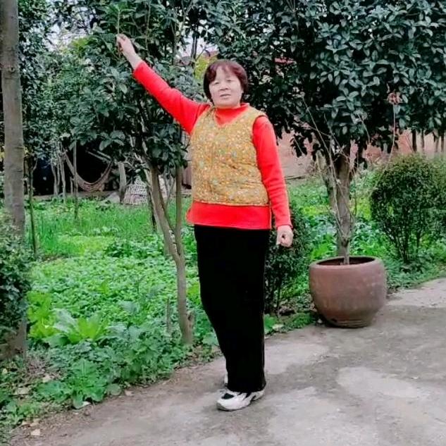 树芳姐