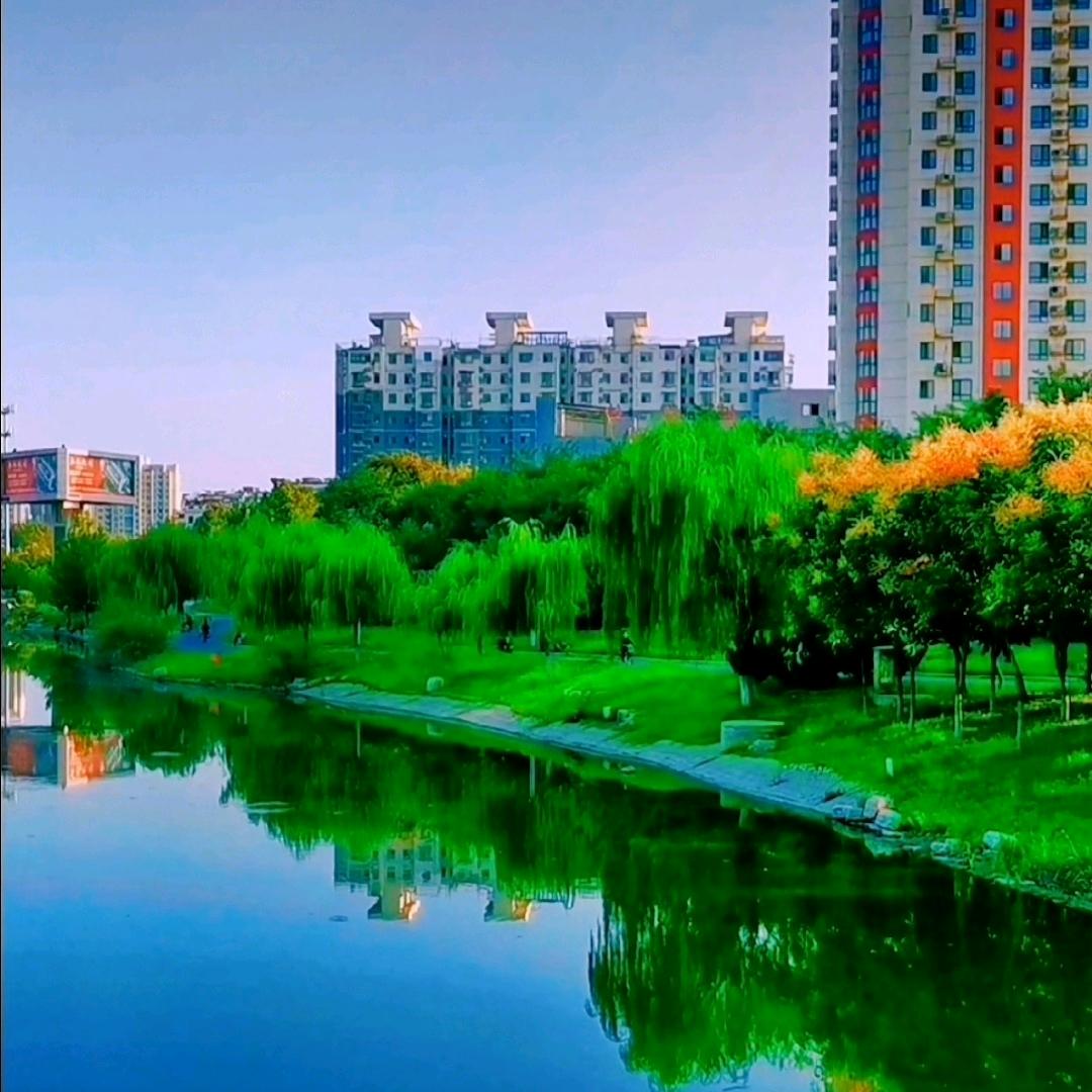 峥嵘岁月
