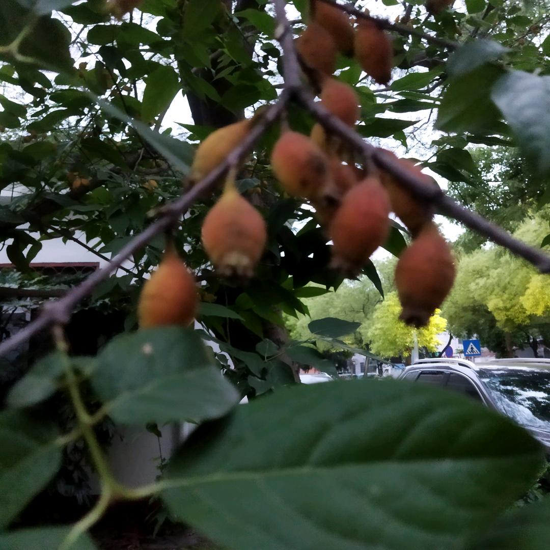 我呀我呀