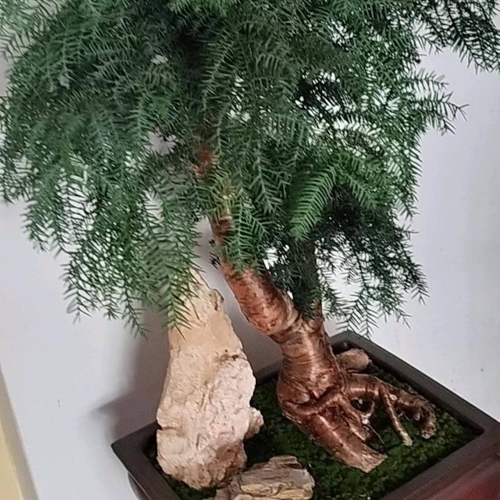 记得，，