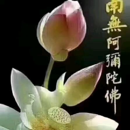 随缘起止