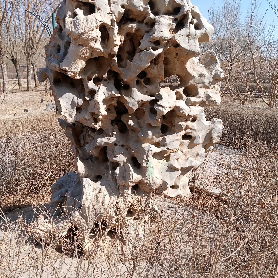 我木木