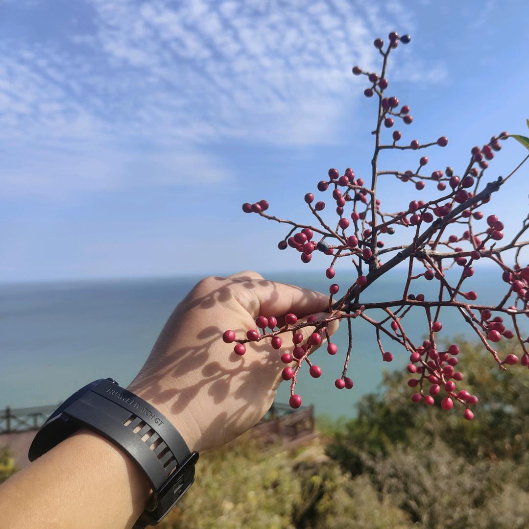 亳小肴·虾滑自助