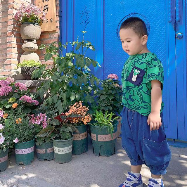 十一.
