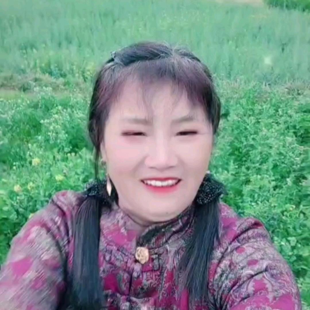 菊平山歌