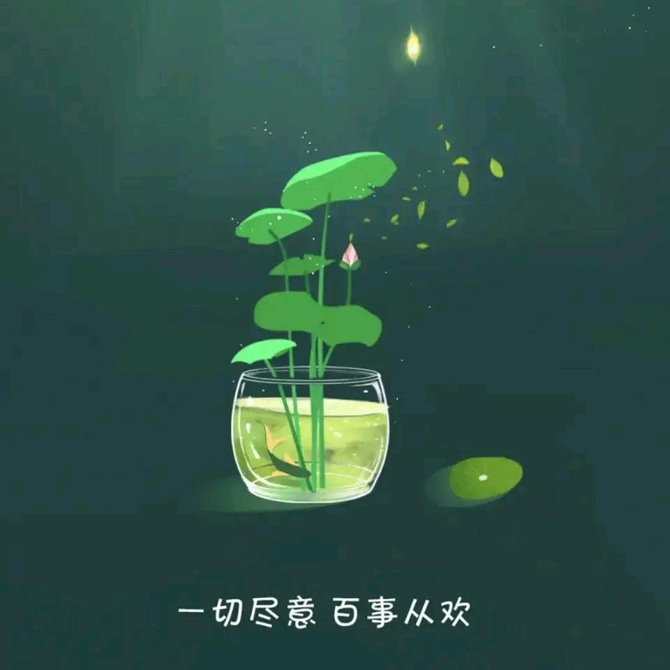 酒罐儿