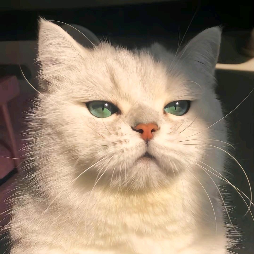 恋念