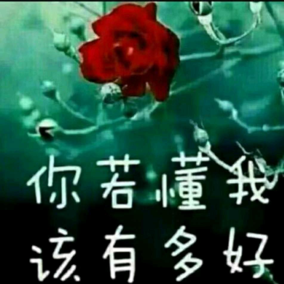 带刺的玫瑰🌹💙