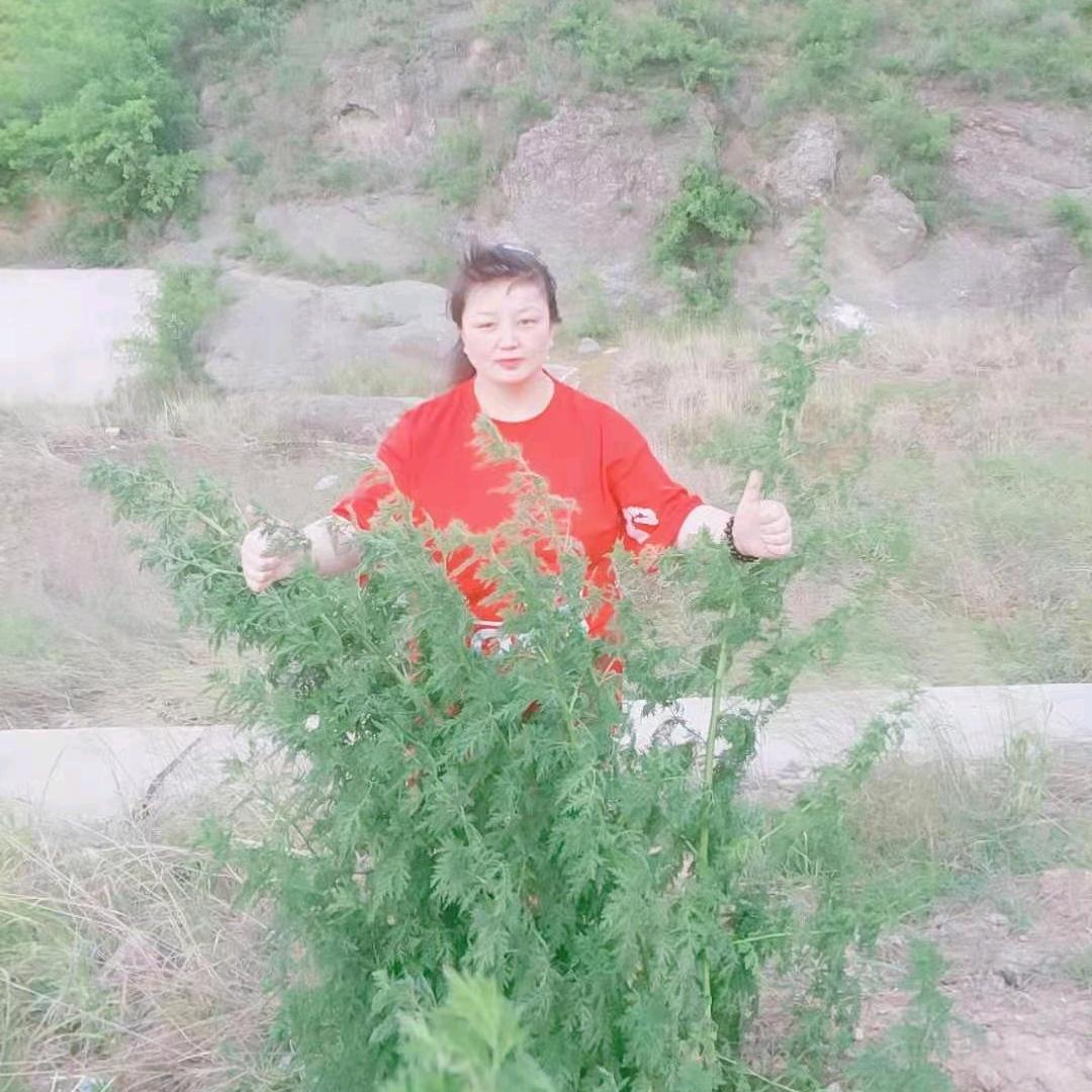 南风未起💋💋💋🌹🌹🌹🌺🌺