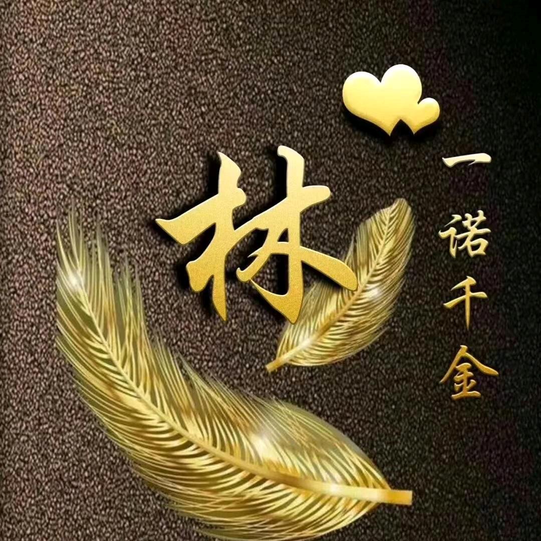 兴源金属林海健