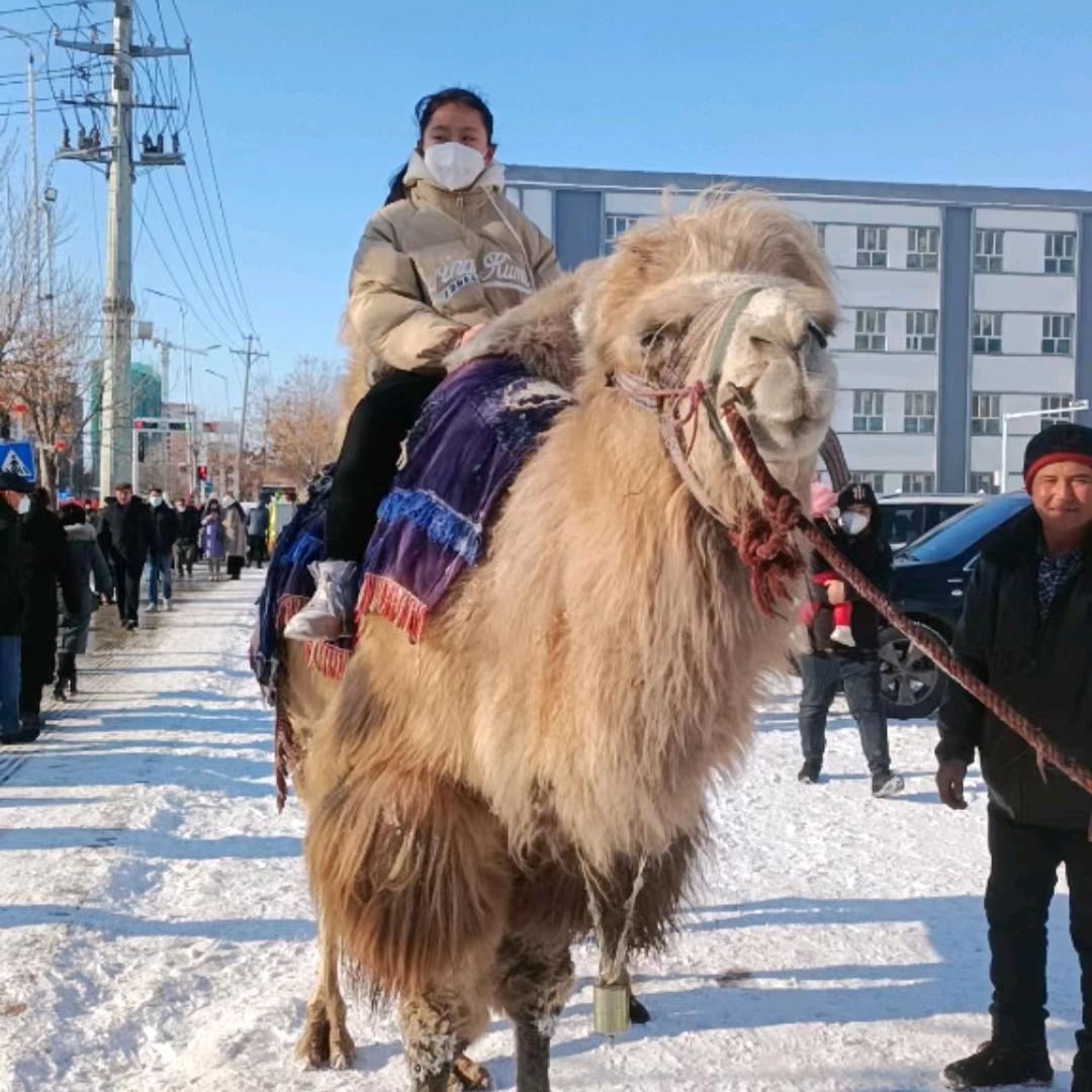 为美好未来的生活而努力