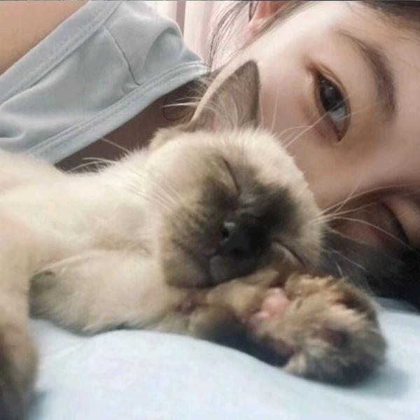 🐾