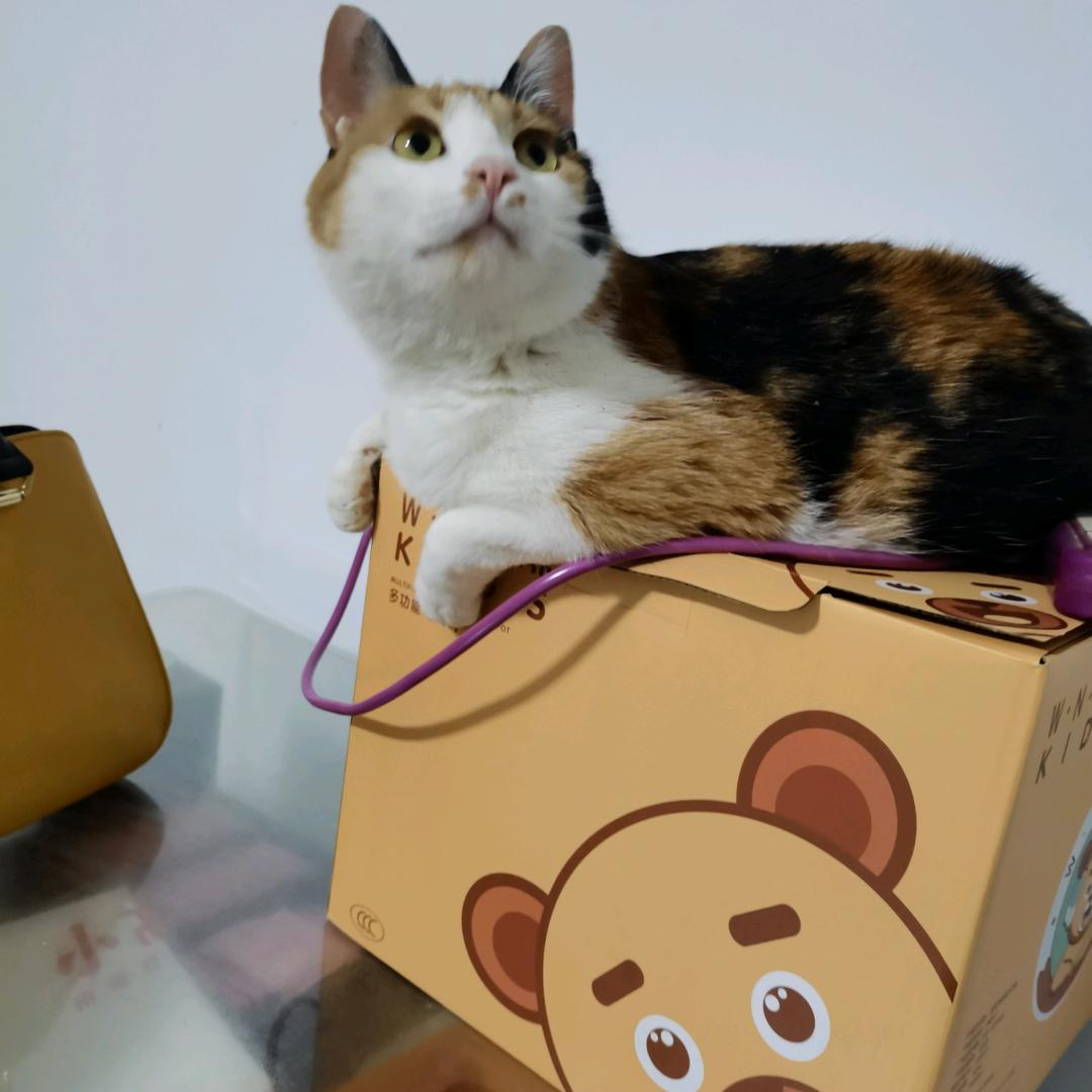 留恋阳光