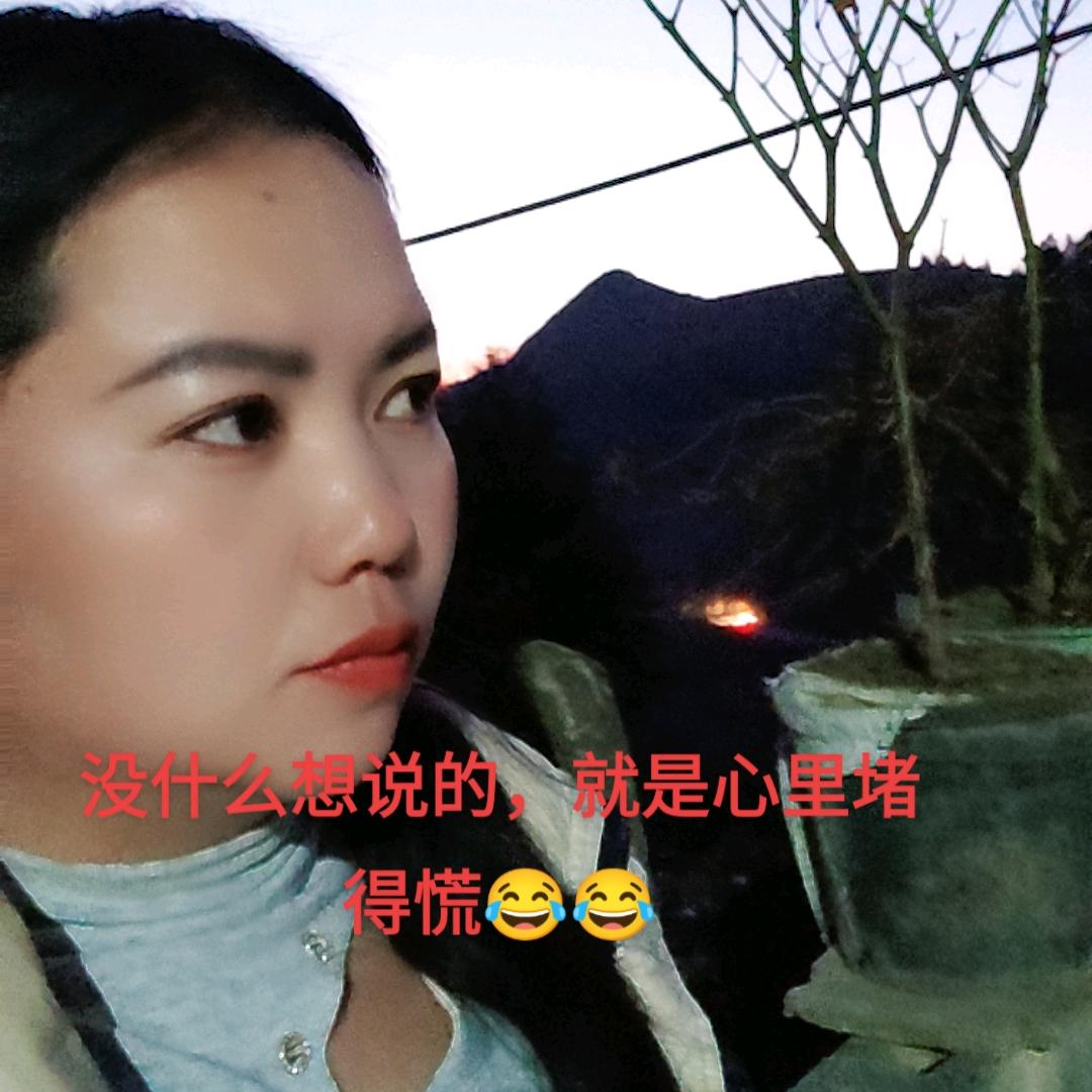 飞飞