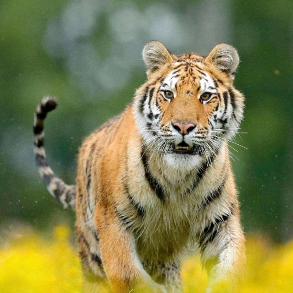 🚴🏻🚴🏻🚴🏻🚴🏻🚴🏻