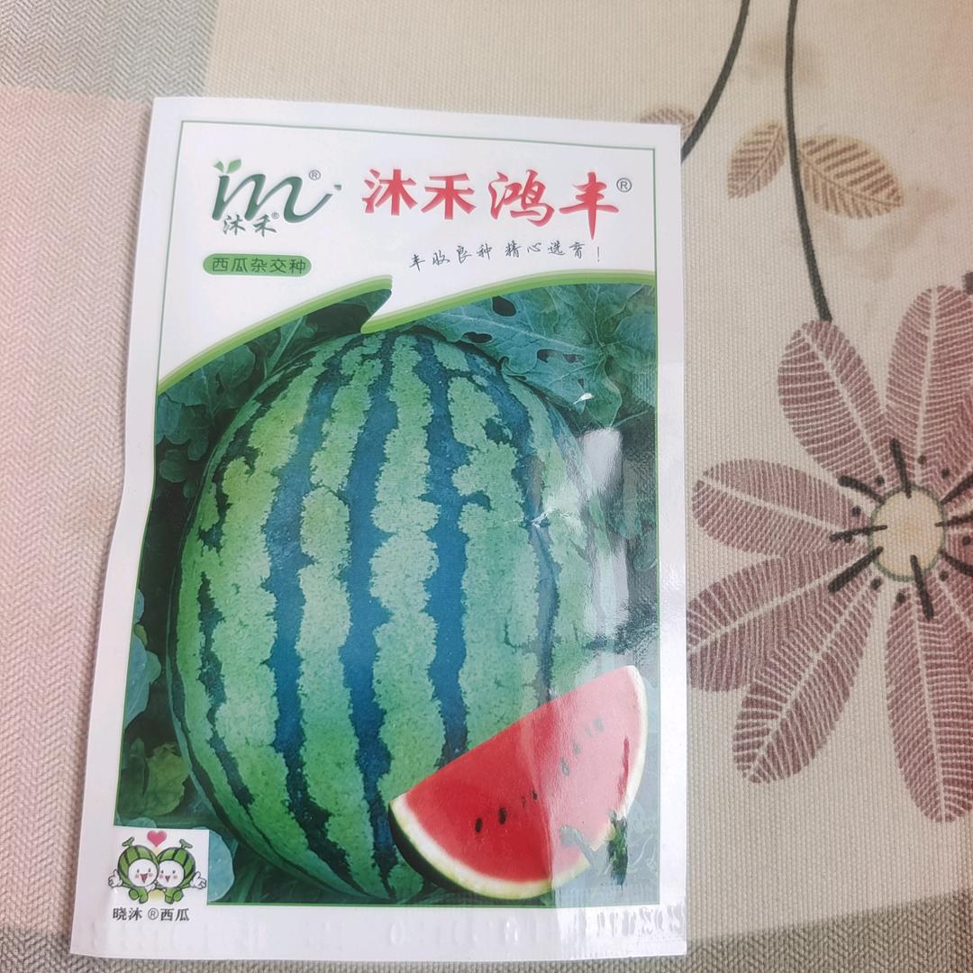 鸿丰甜王