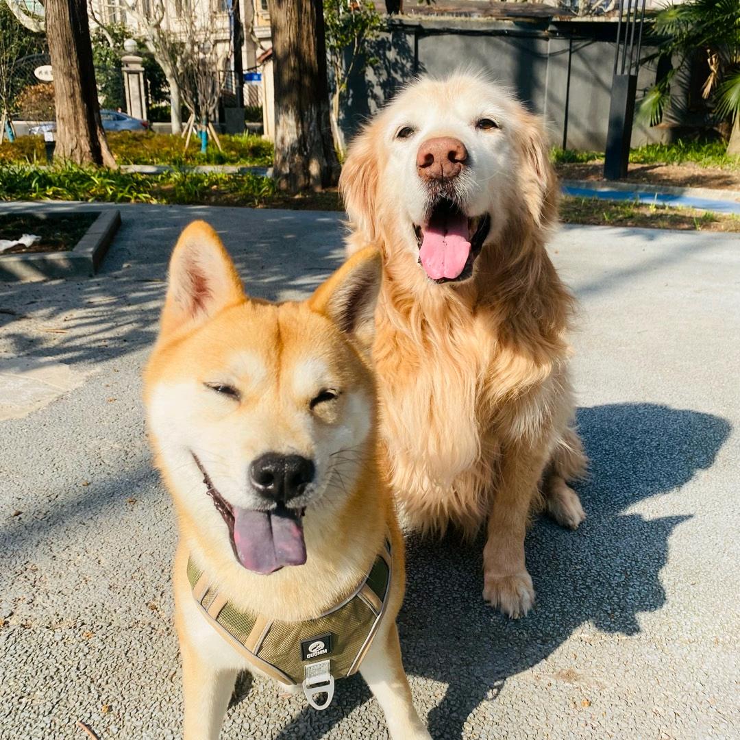 🐩🐩芸_hly🐩🐩