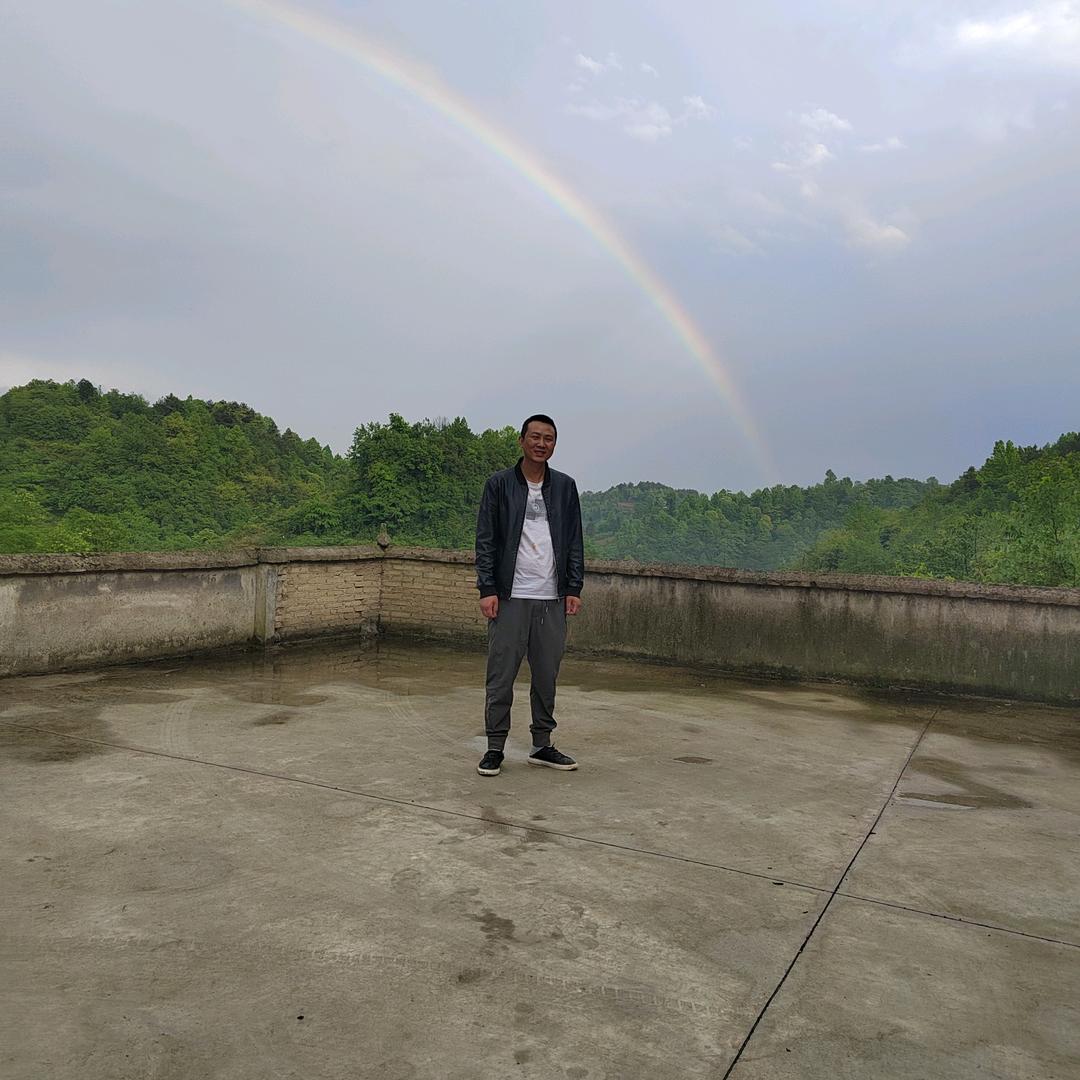 小万紫江花园土黄牛肉批发