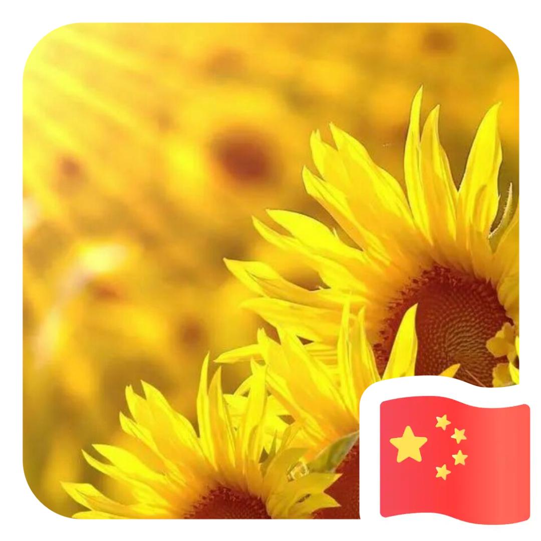 恋红尘
