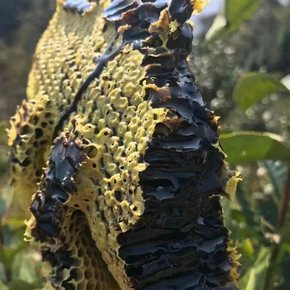 小绍林