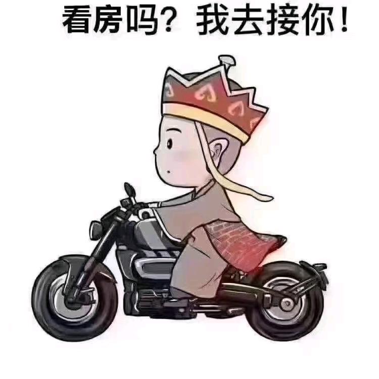 做装修的钓鱼佬（简阳）