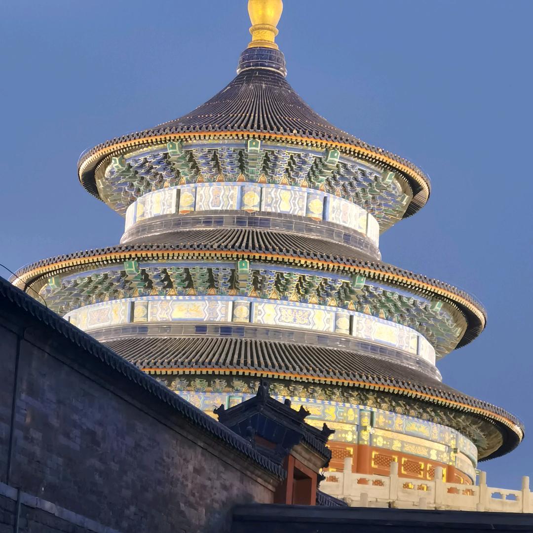 大壳