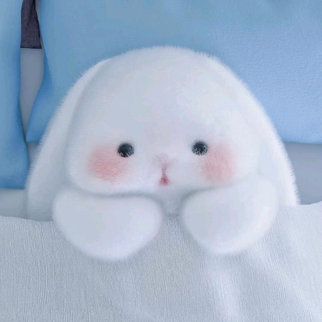 西西桐桐喵喵喵