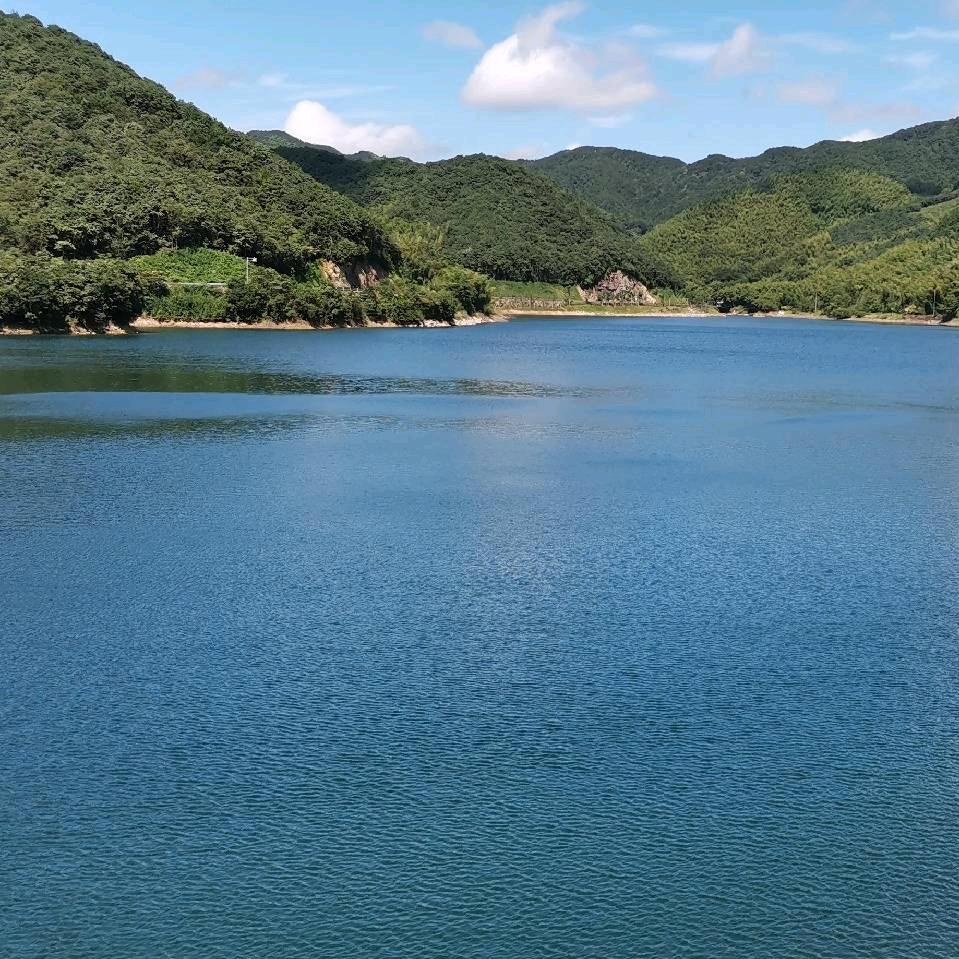 龙少