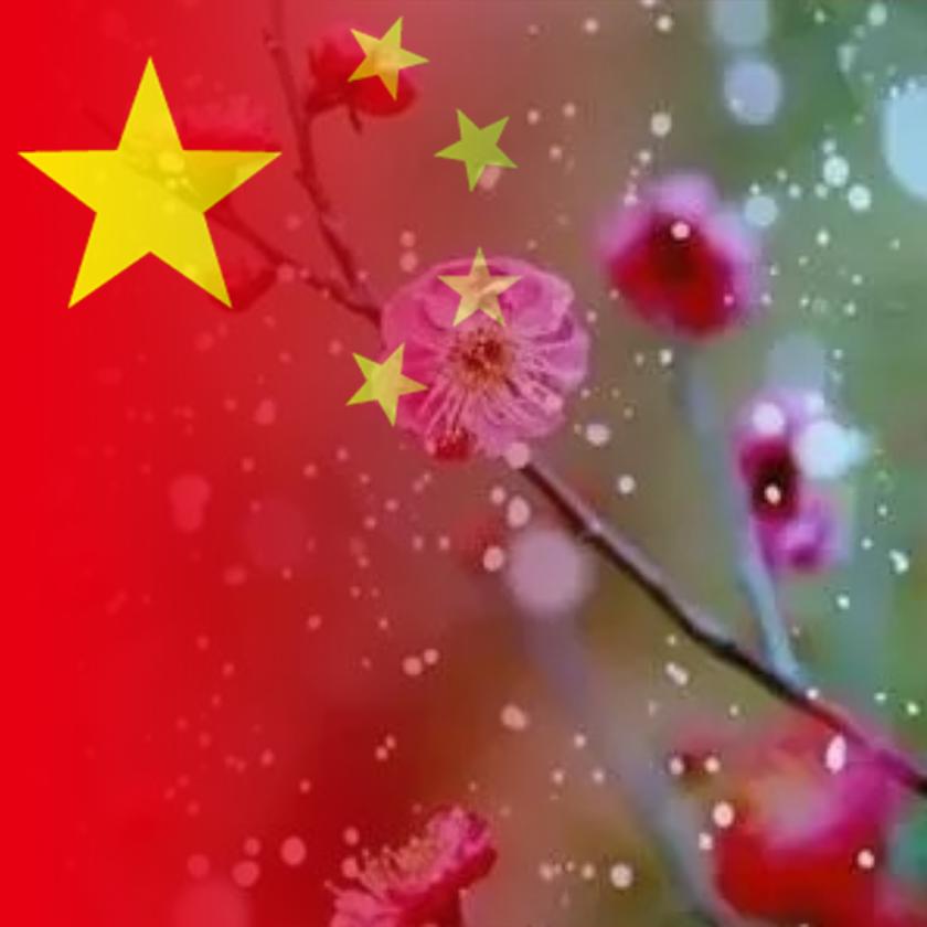 🍋💥傷心💞💫✨