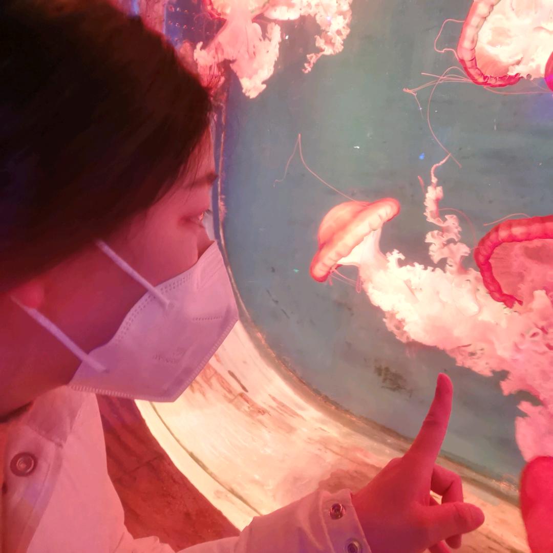 多啦没有A梦🤗