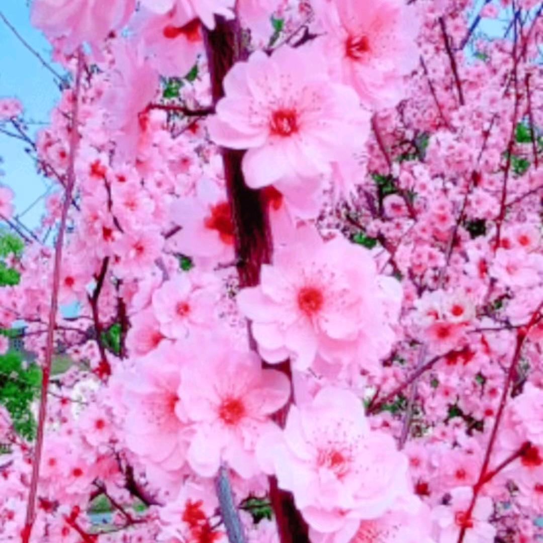 今生有缘才能相遇