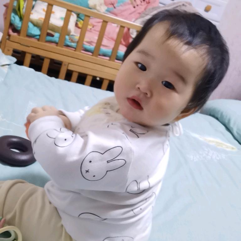 比德兔