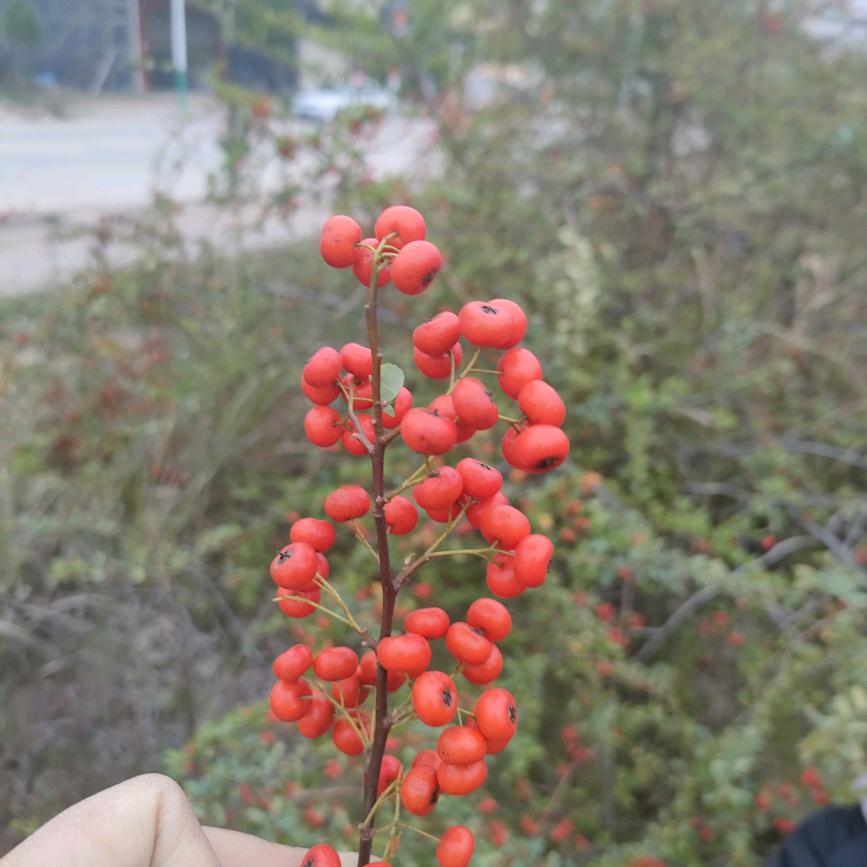 A~回不去的曾经