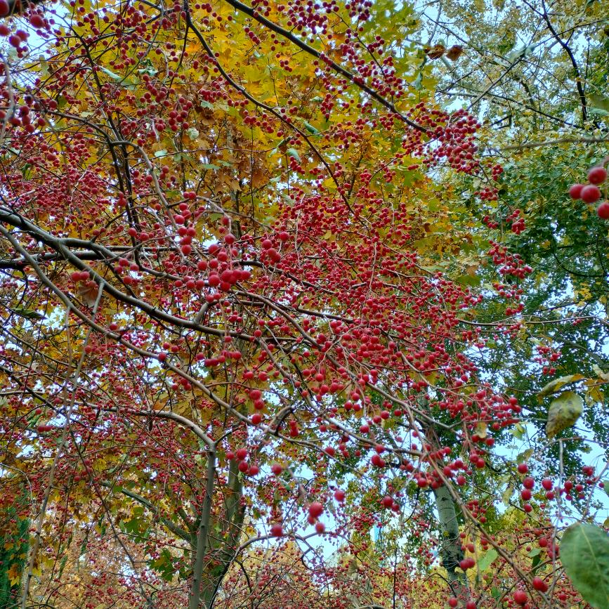 热爱生活发现美