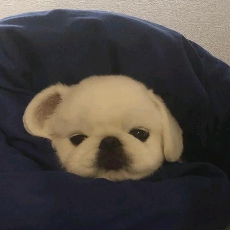 到点睡zzz