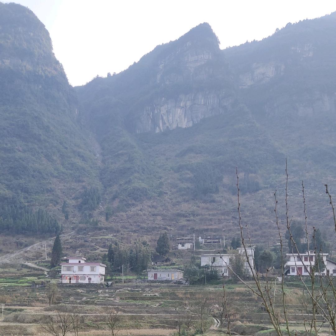 莣忧草拒绝私聊