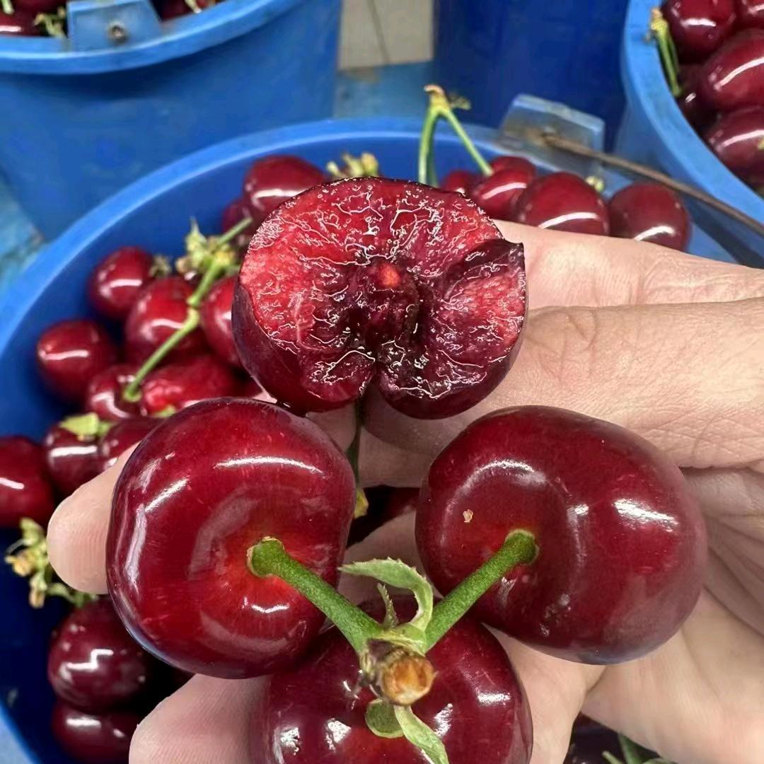 广州分公司贵林果业湖口分店